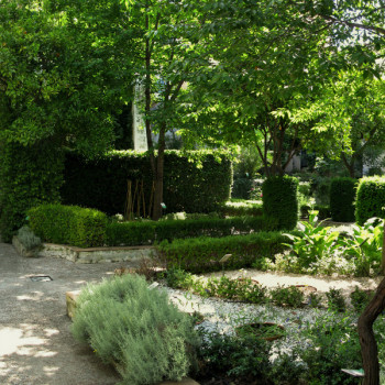 Orto botanico Giardino della Minerva